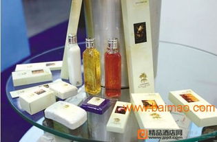 華先酒店投資公司 廣西酒店用品與酒店大堂用品專業供應領導者